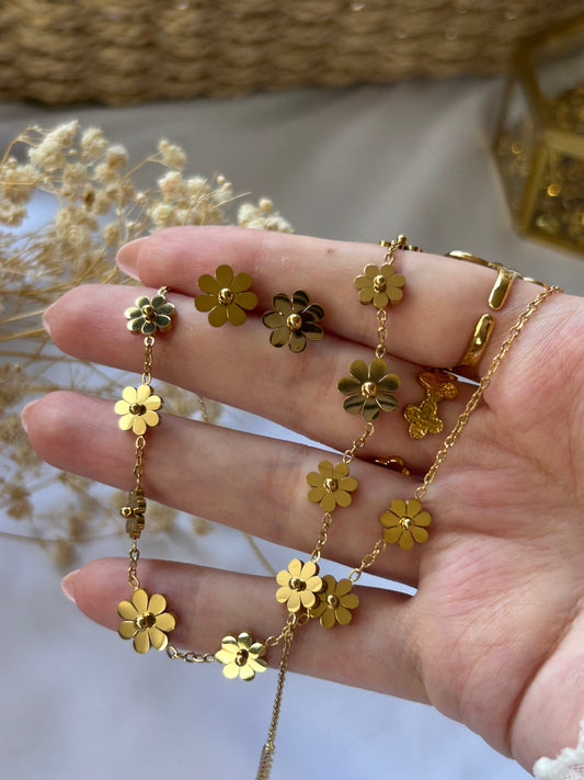 Noura set